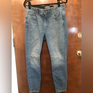 Torrid Premium Jeans
